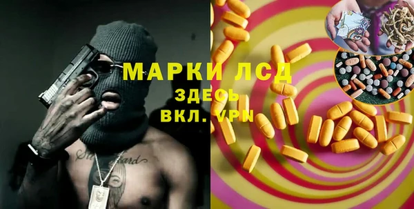 хмурый Алзамай