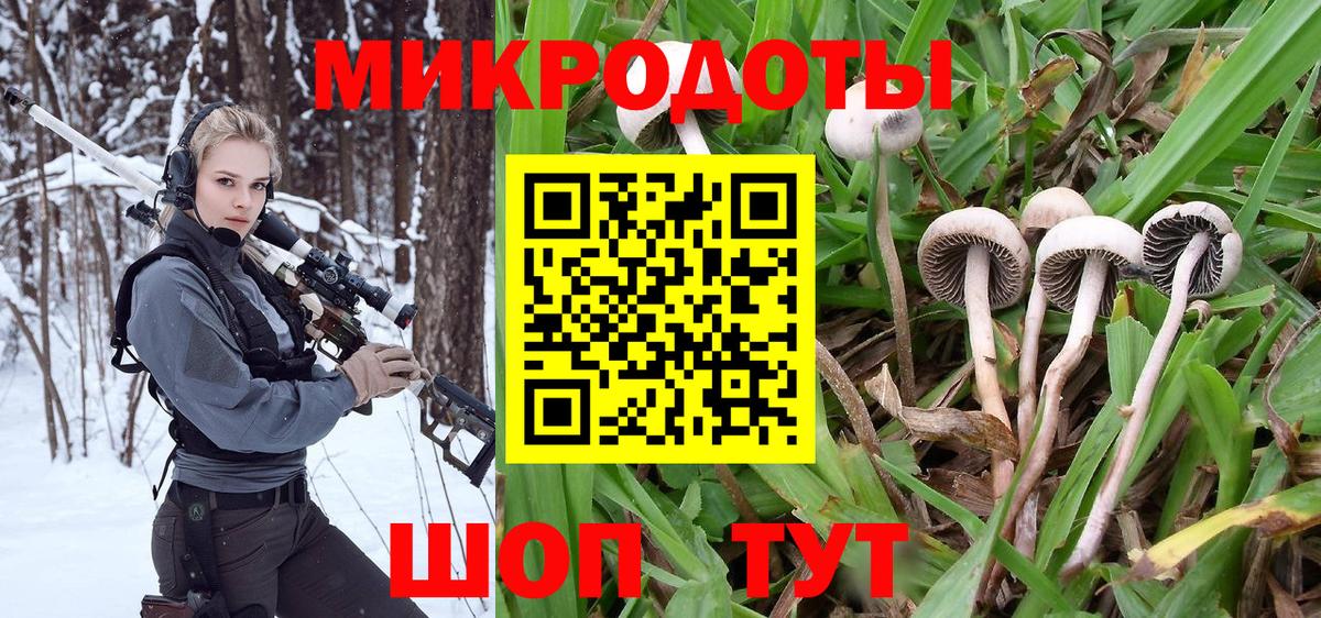Галлюциногенные грибы Magic Shrooms Фролово